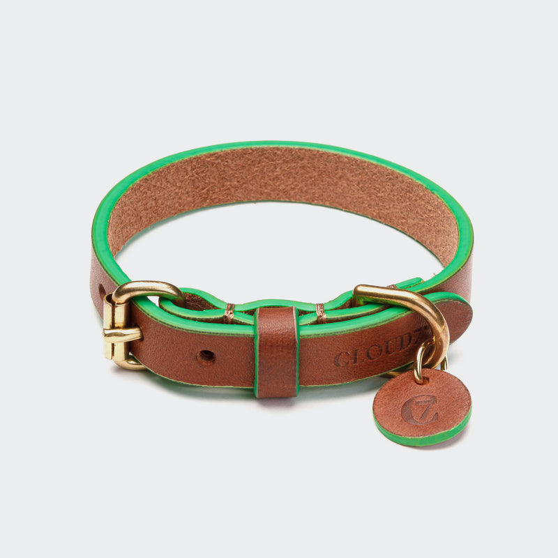 Hundehalsband Prince Park Cognac/Green