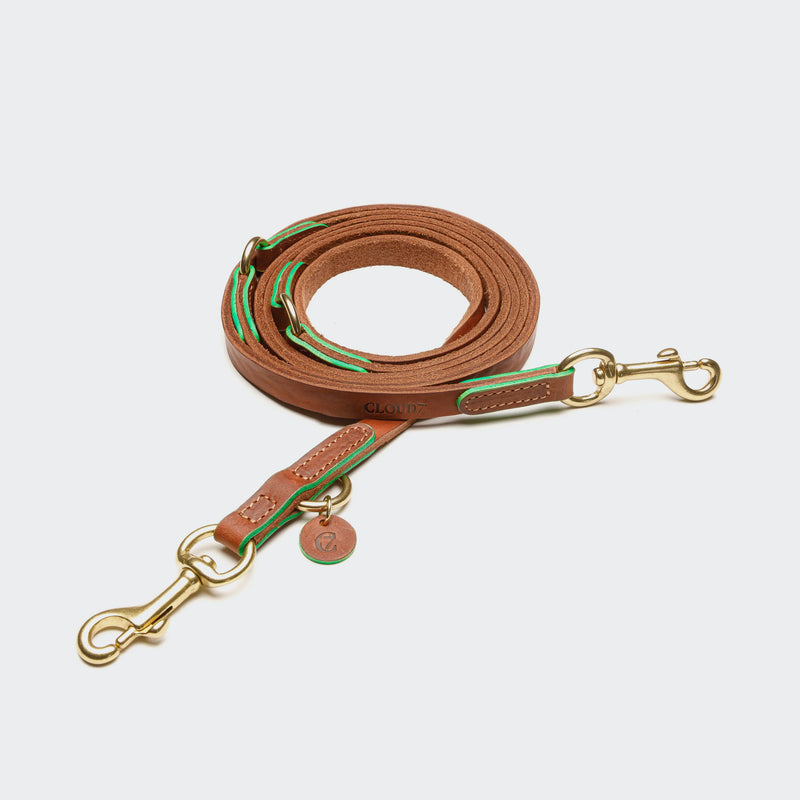 Hundeleine Prince Park Cognac/Green