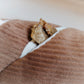 Mini Baguette Schnüffelspielzeug