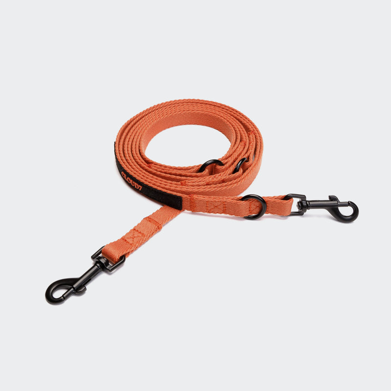Hundeleine Holly Park Orange