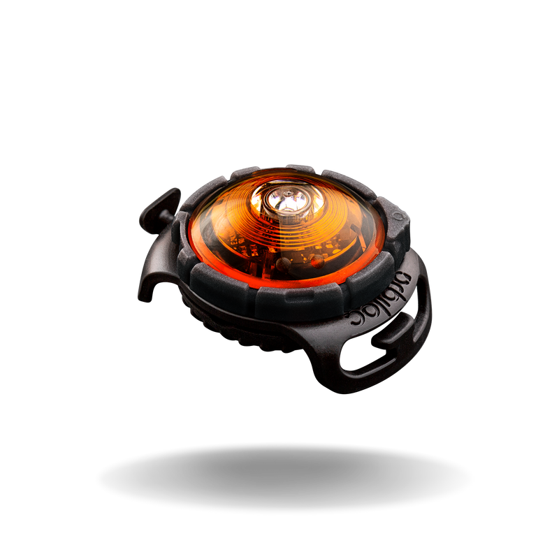 Orbiloc Dog Dual Sicherheitslicht - Amber