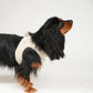 Step-In Dog Harness Teddy Espresso
