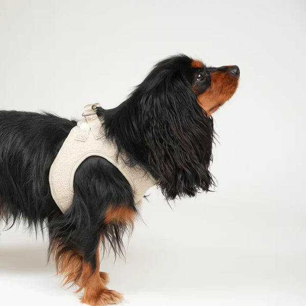 Step-In Dog Harness Teddy Espresso