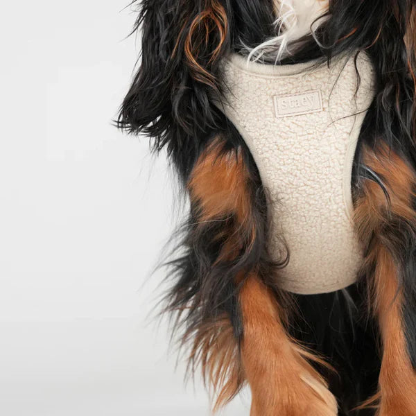 Step-In Dog Harness Teddy Espresso