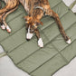MiaCara Strada Travel Bed in grolive