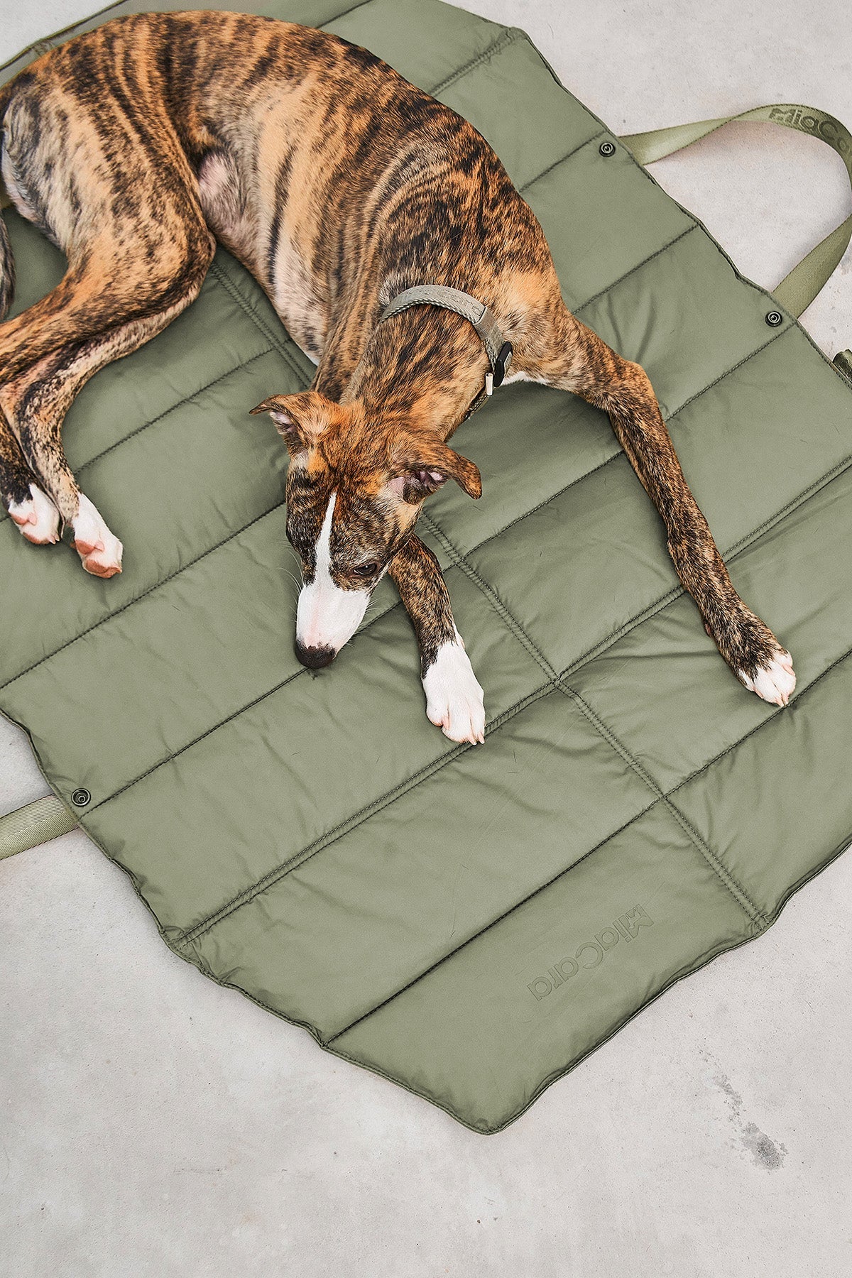 MiaCara Strada Travel Bed in grolive