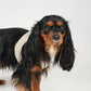Step-In Dog Harness Teddy Espresso