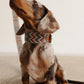 Hundehalsband Zigzag Naya