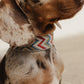 Hundehalsband Zigzag Naya
