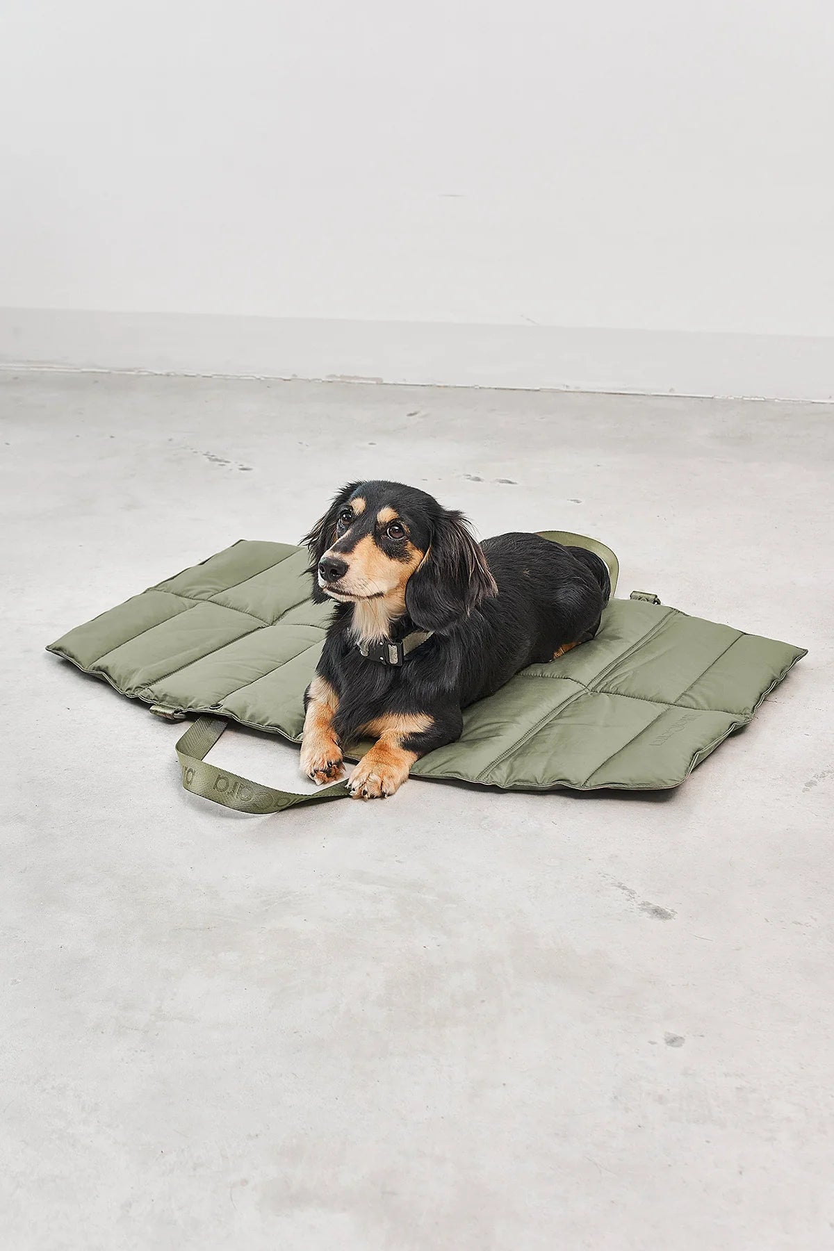 MiaCara Strada Travel Bed in grolive