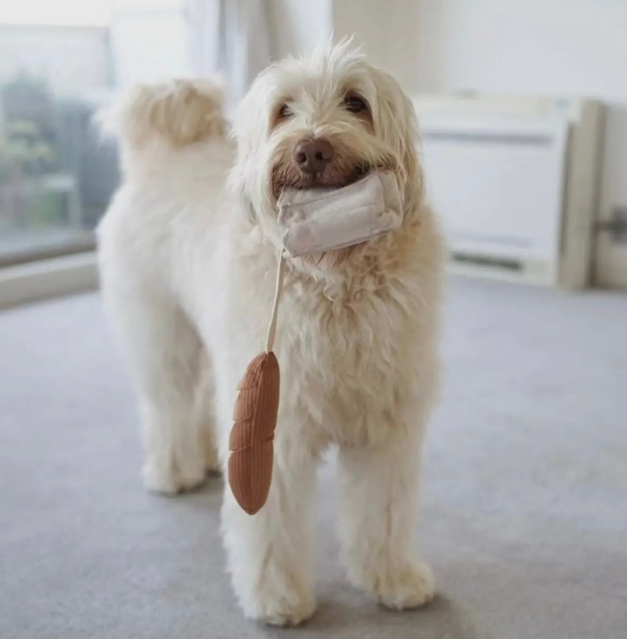 Mini Baguette Schnüffelspielzeug