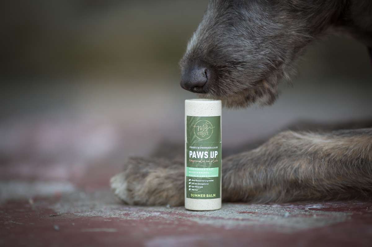 Paws Up Pfotenbalsam Sommer