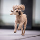 Hundespielzeug Doggy Dog