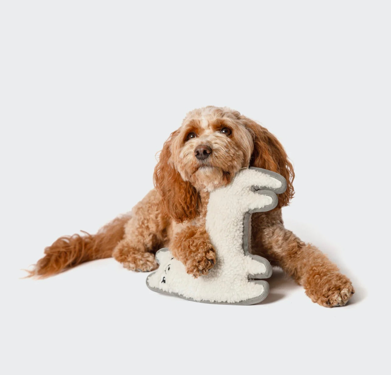 Hundespielzeug Lama Lotte