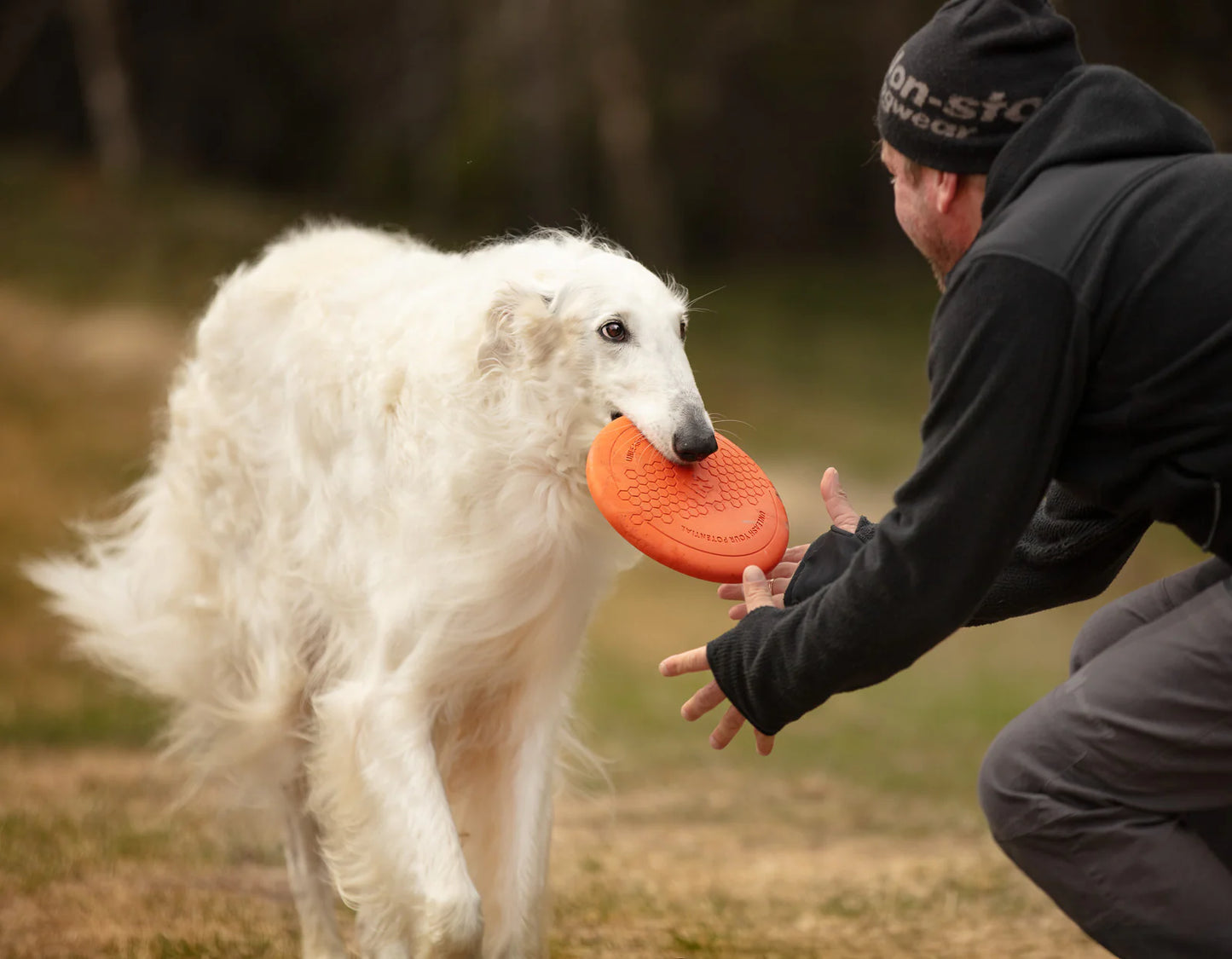 Hundespielzeug Frisbee flying disc