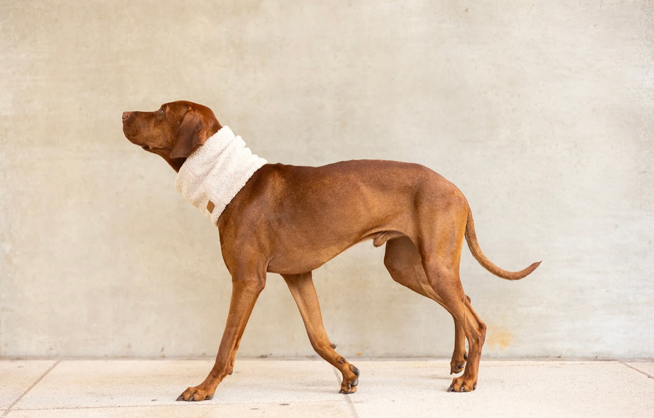 Hundeloop Teddy Beige