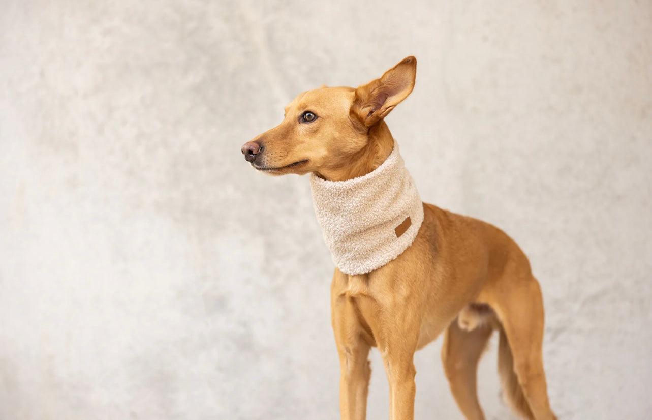 Hundeloop Teddy Beige