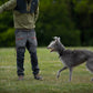 Hundespielzeug Wurfball mit Schnur