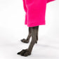 Pullover in Magenta für Italienisches Windspiel