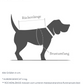 Hundemantel Brooklyn Dackel Flanell Hazel - neues Modell