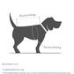 Hundemantel Brooklyn Dackel Flanell Hazel