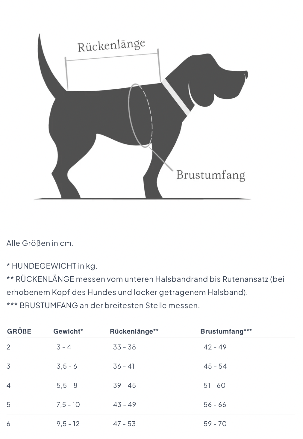 Hundemantel Brooklyn Dackel Flanell Fern Green