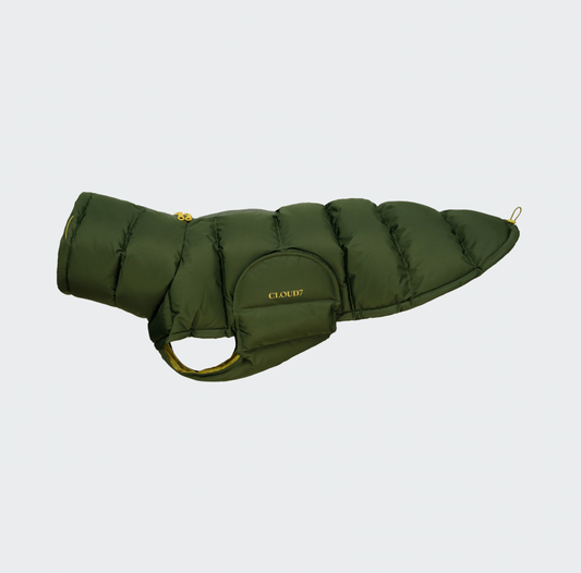 Windhundmantel Winter Alaska Olive (2024)