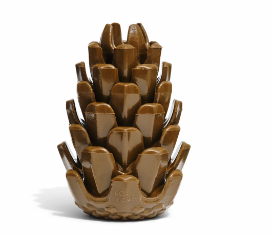 Loblolly Pinecone Tannenzapfen