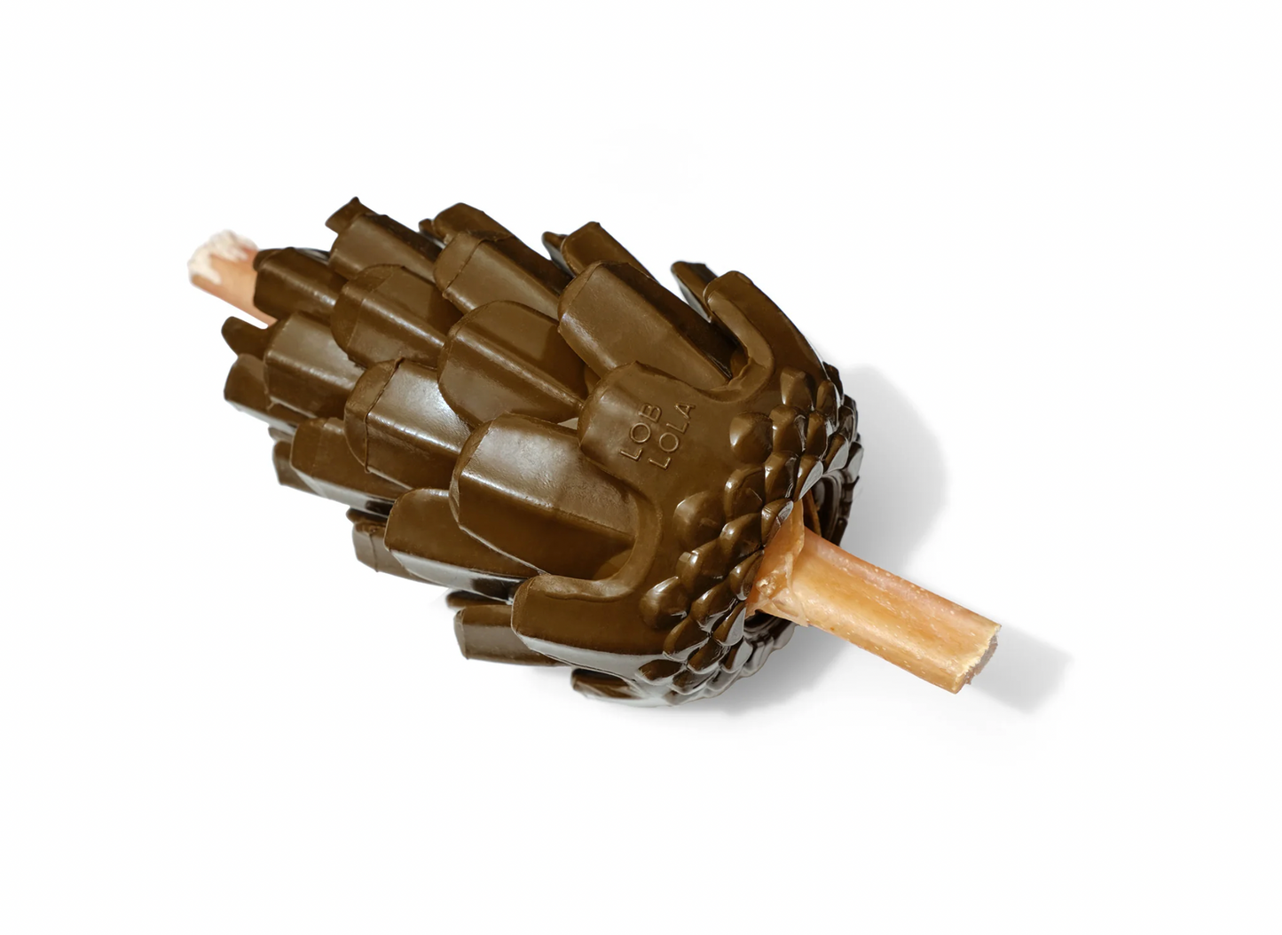 Loblolly Pinecone Tannenzapfen