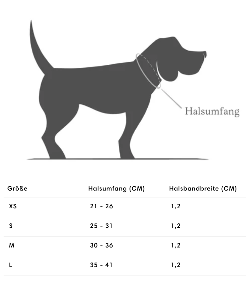 Hundehalsband Riverlino Camel Gold