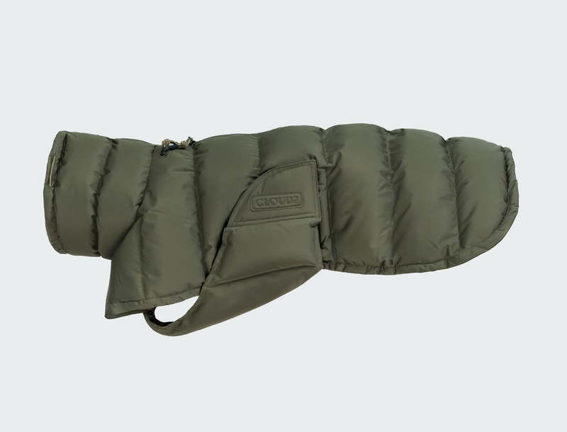 Hundemantel Winter Everest Light Olive