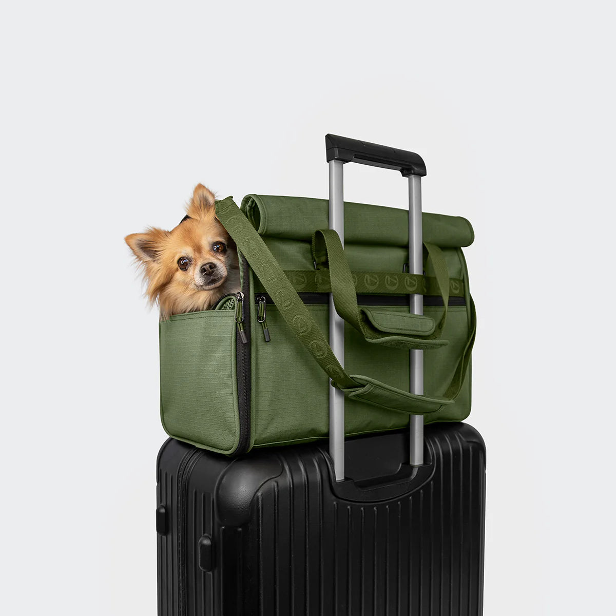 Hundeflugreisetasche AKTIV Khaki