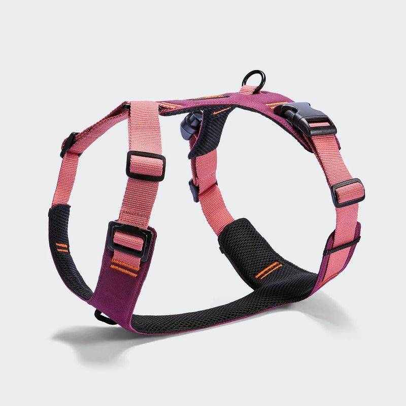 Y2 Geschirr AKTIV Aubergine/Soft Rose
