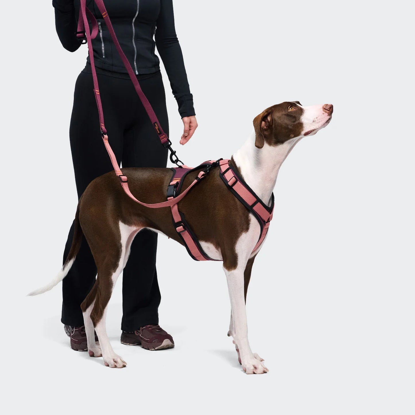 Y3 Geschirr AKTIV Softshell Aubergine/Soft Rose