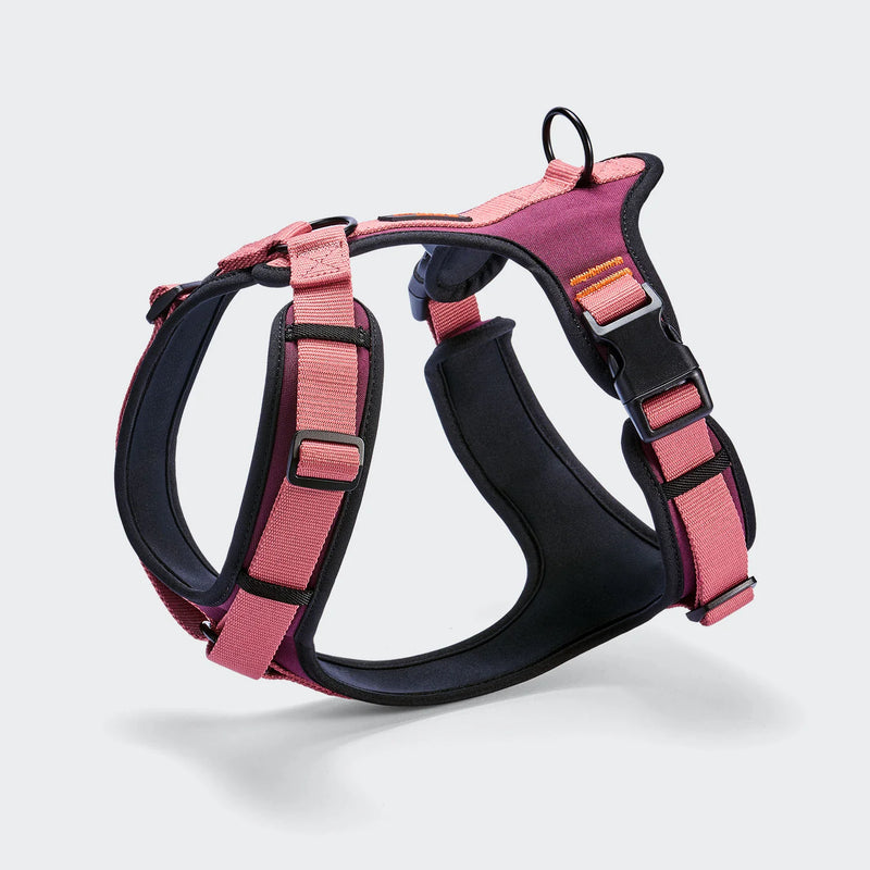 Y3 Geschirr AKTIV Softshell Aubergine/Soft Rose