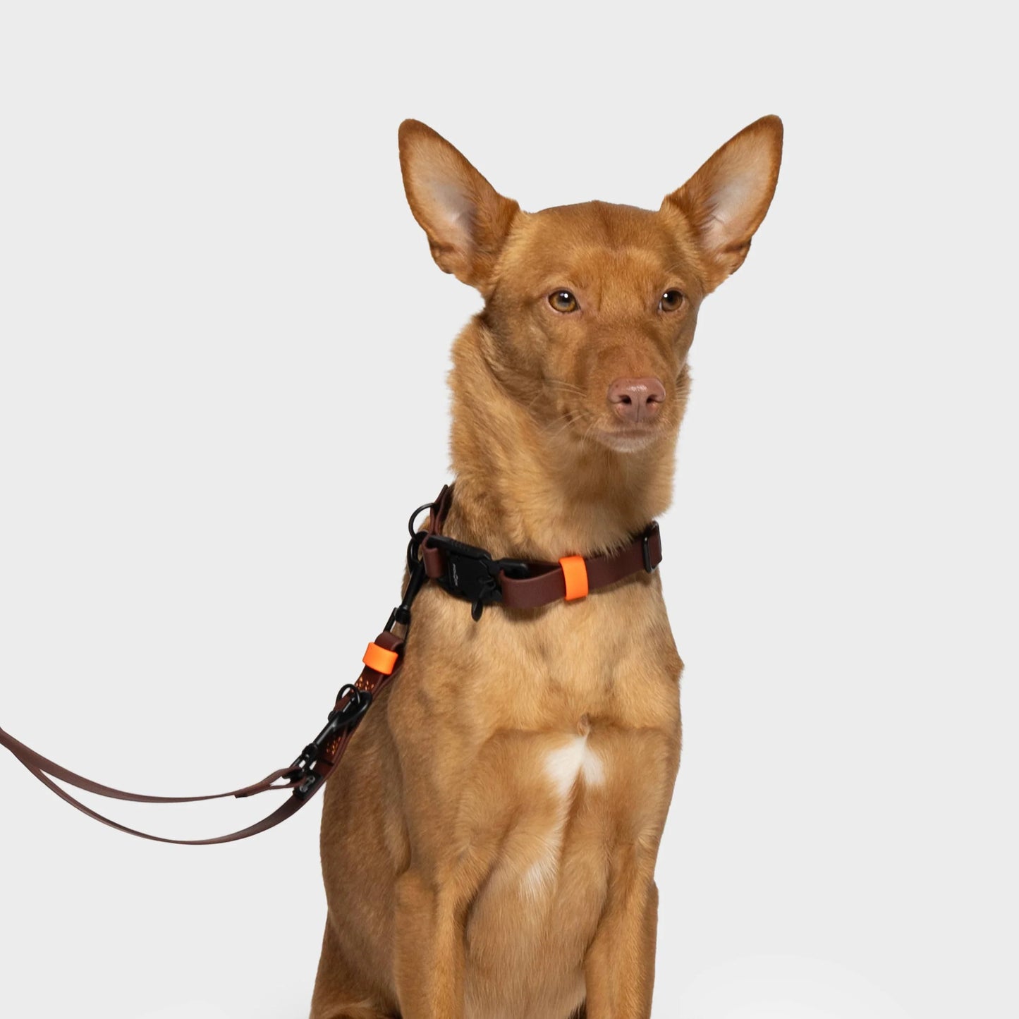 Hundeleine verstellbar BioThane Ipanema Dark Aubergine und Neon Orange