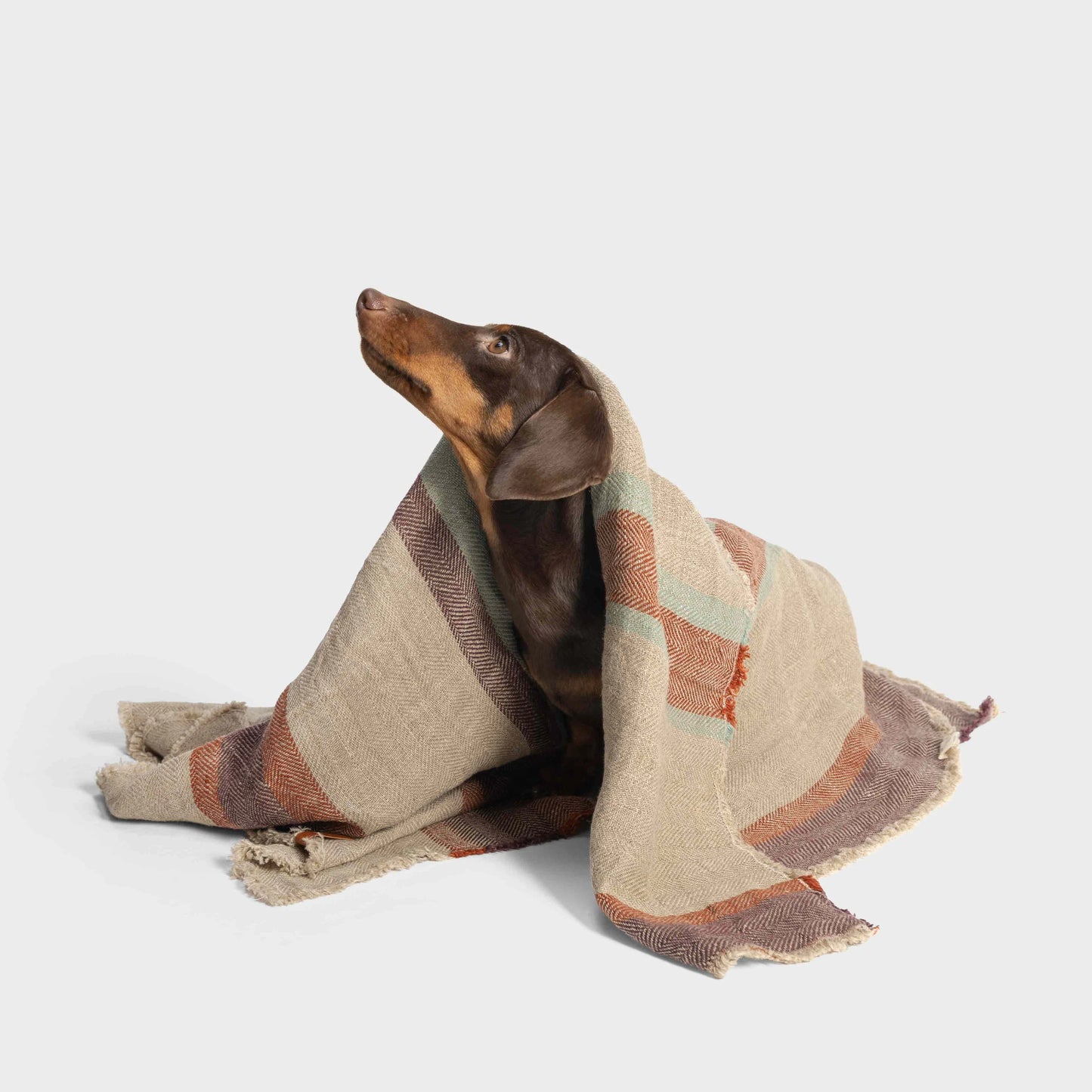 Hundedecke Linen Stripes
