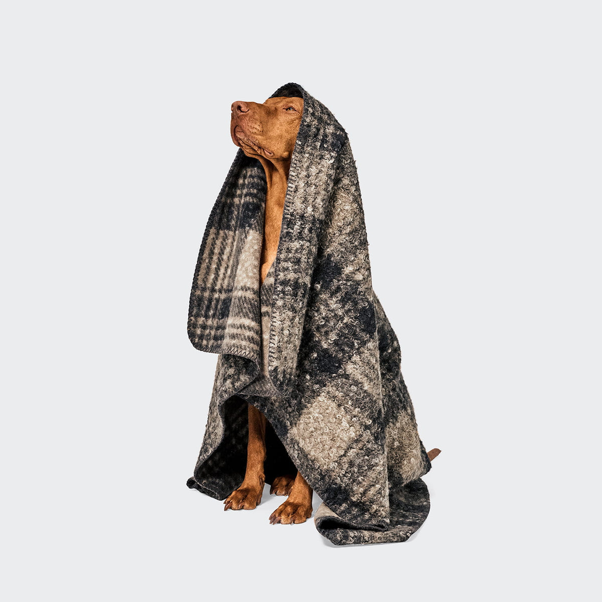Decke Tartan