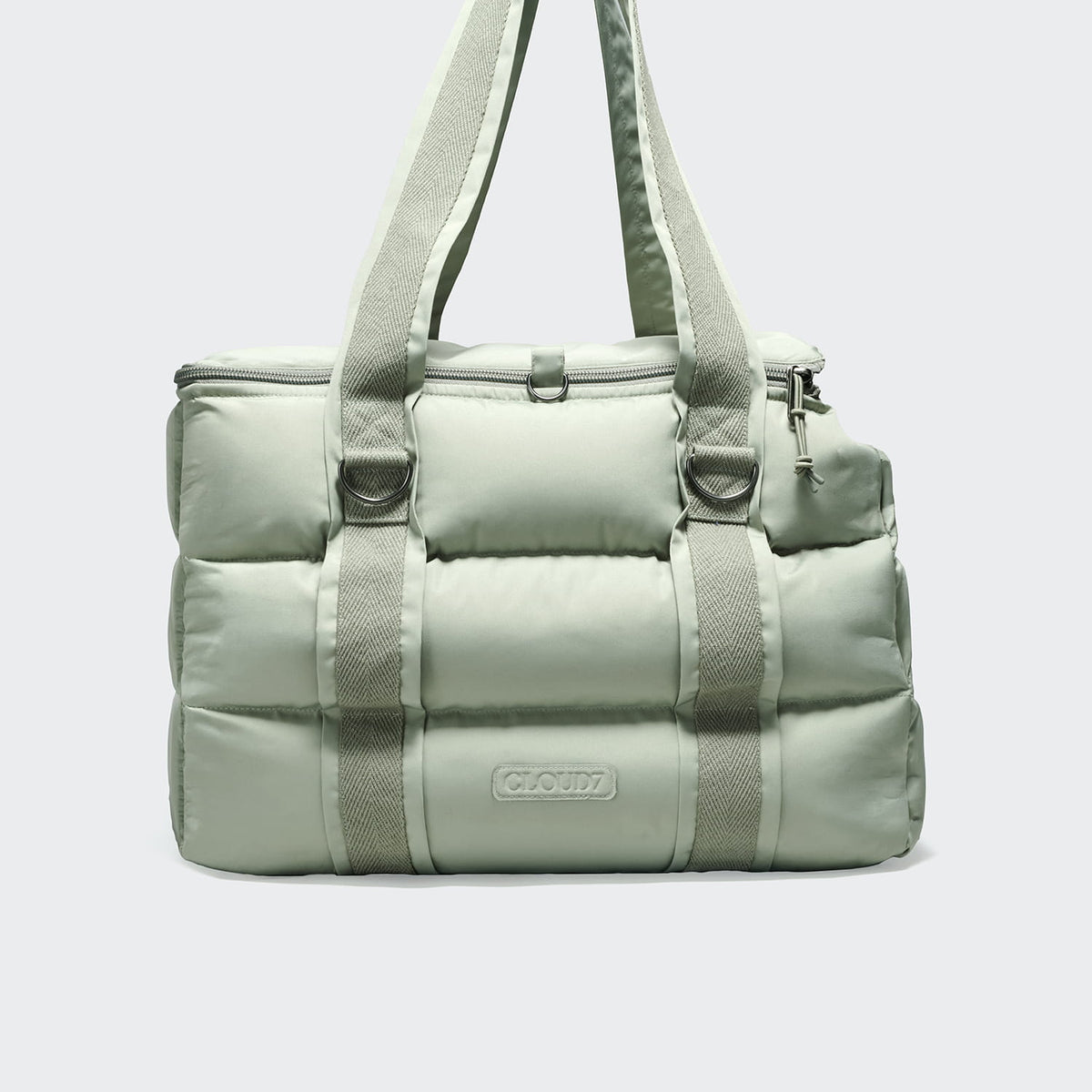Montreal Sandy Brown dog carrier