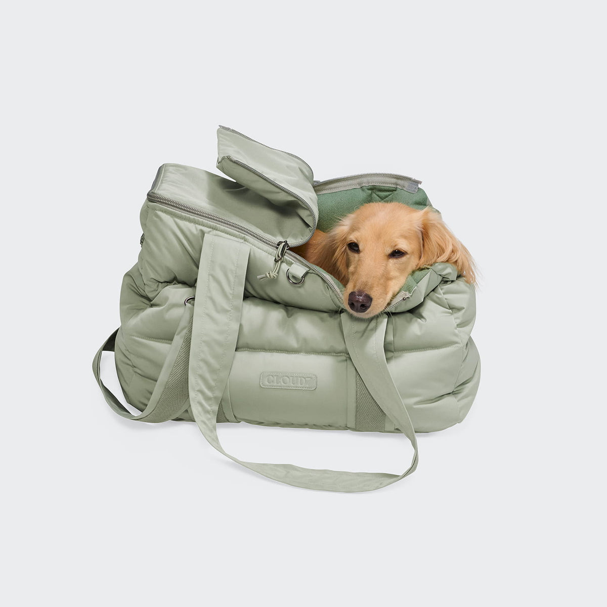 Montreal Sandy Brown dog carrier