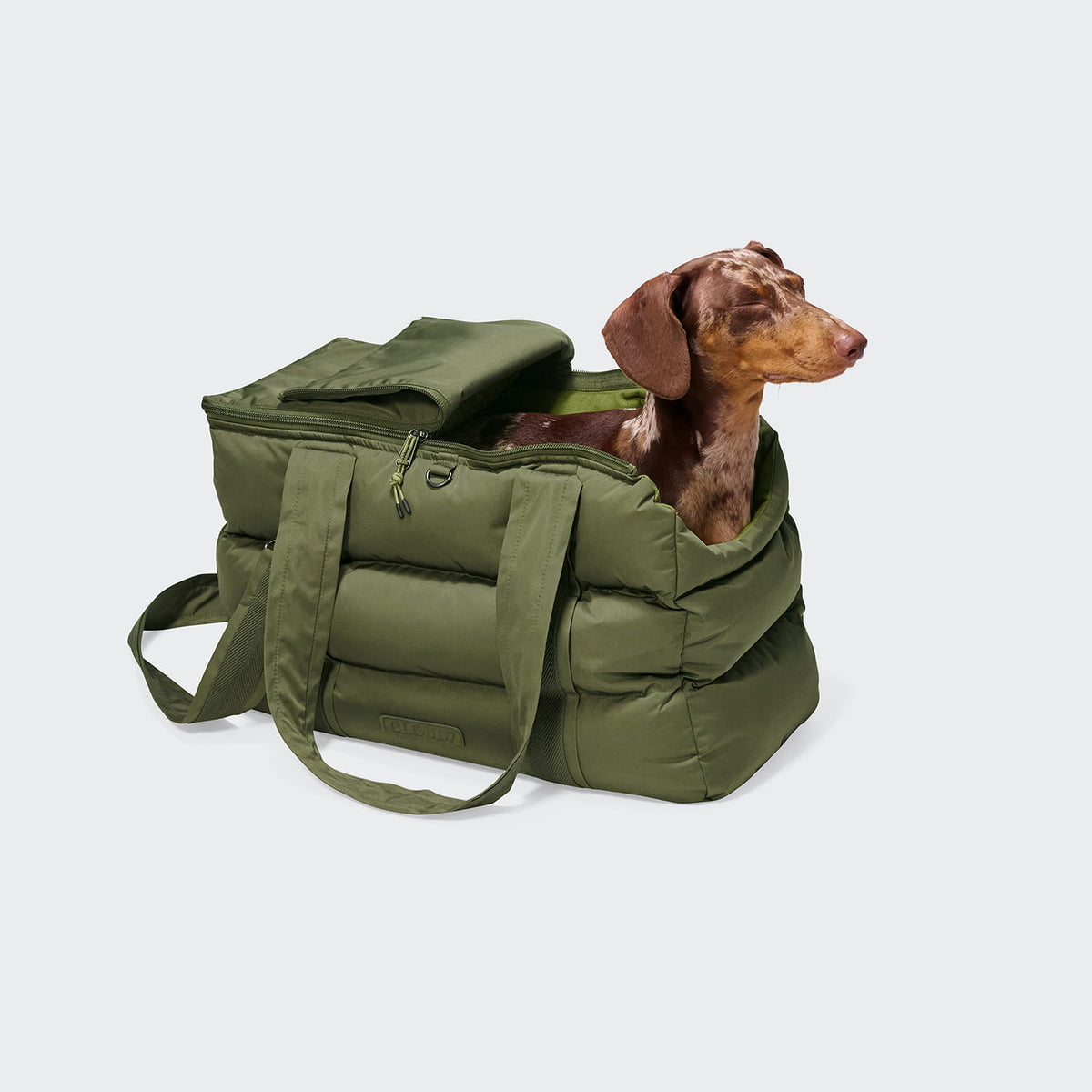 Hundetasche Montreal 2.0 Light Olive mit Schultergurt