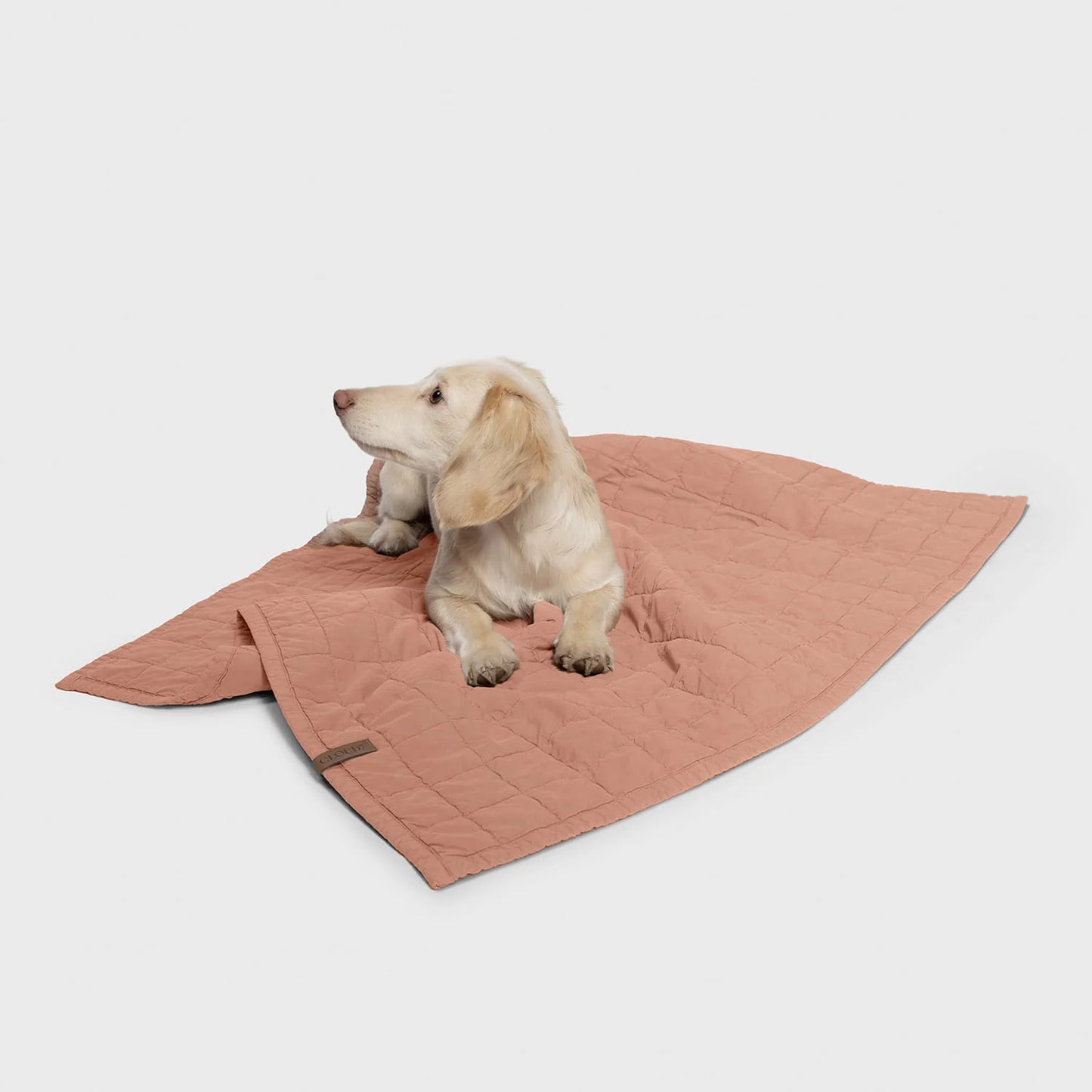 Hundedecke LTTL Dusty Rose