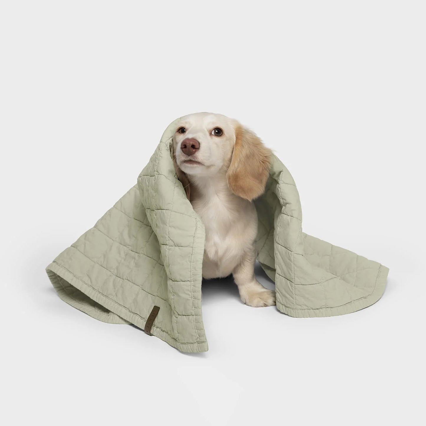 Hundedecke LTTL Faded Moss