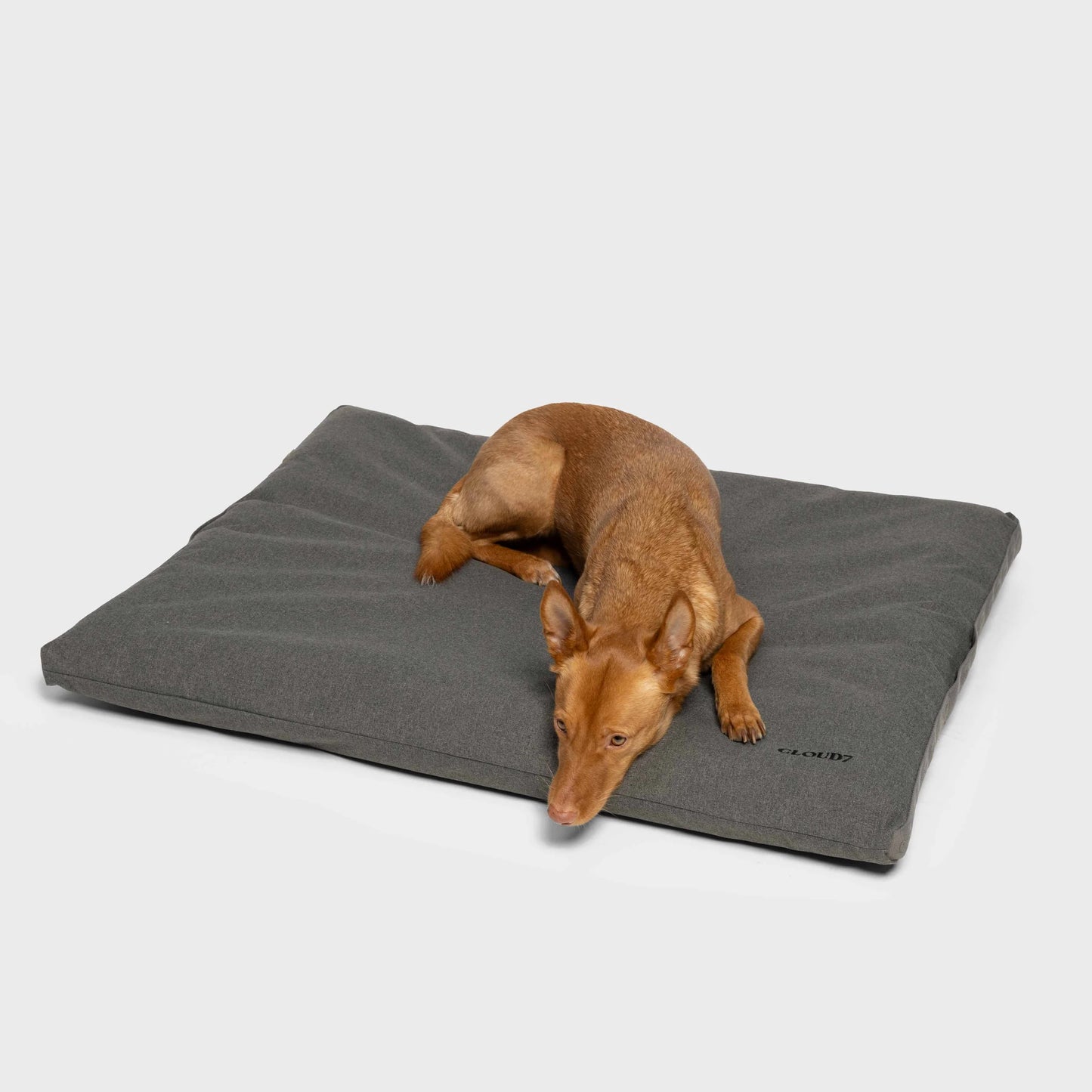 Outdoor Hundebett Siesta Light Graphite