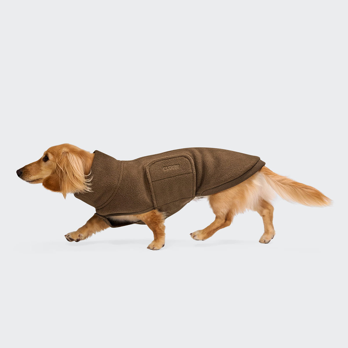 Hundepullover Dackel Fleece Derby 2.0 Coffee