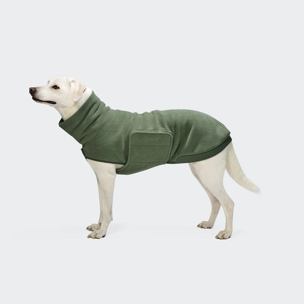 Hundepullover Derby 2.0 Khaki