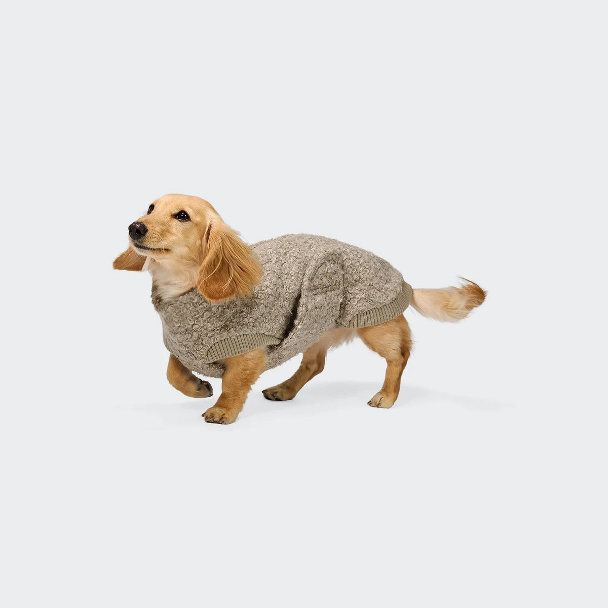 Hundepullover Dackel Gotland Sandy Brown