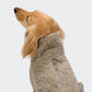 Hundepullover Dackel Gotland Sandy Brown