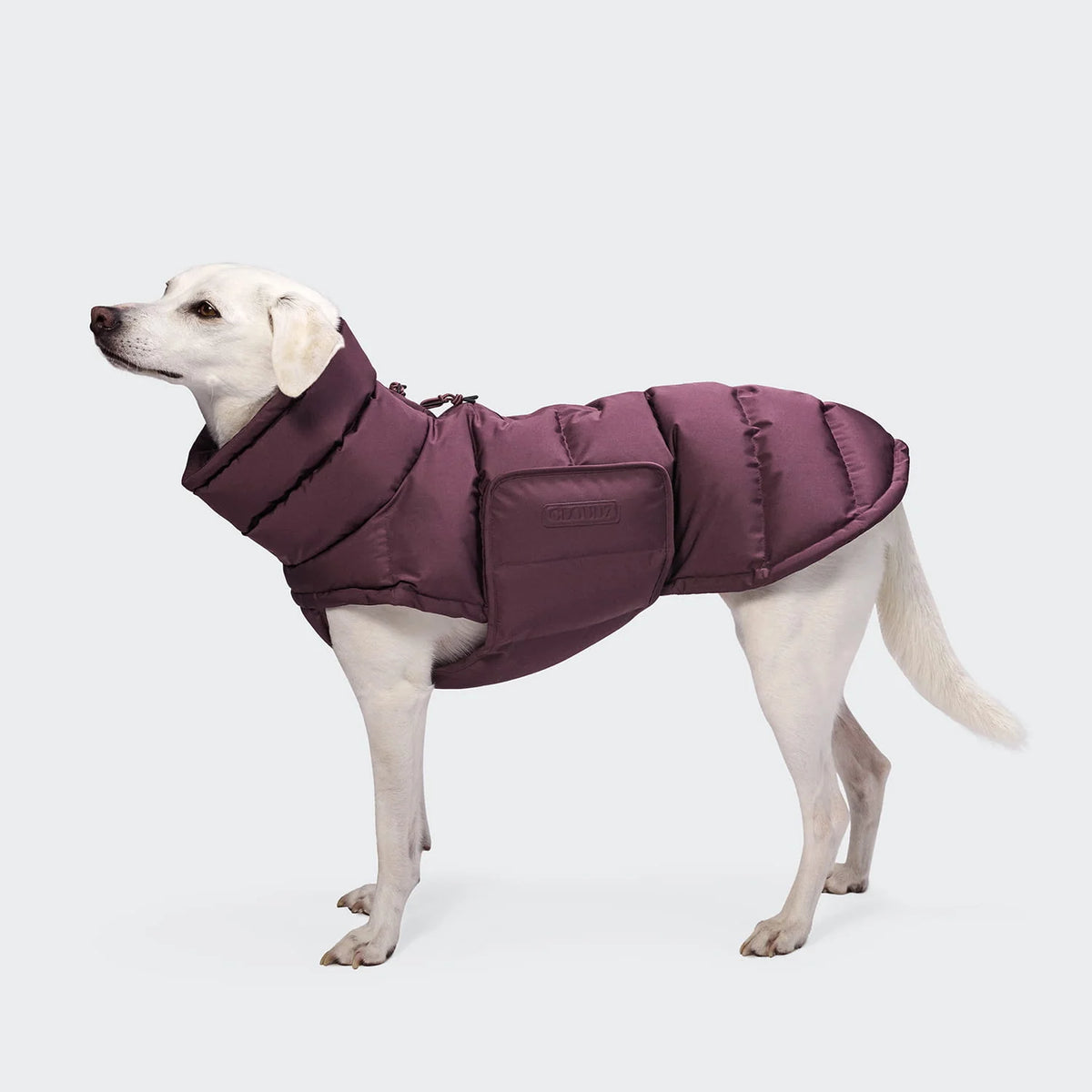Hundemantel Alaska Aubergine
