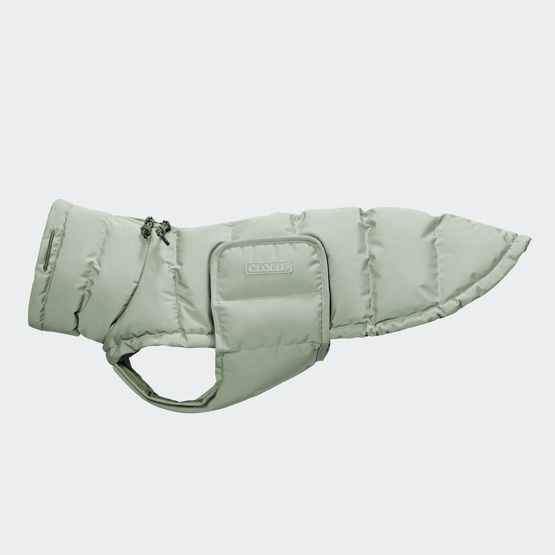 Dackelmantel Winter Alaska Mint